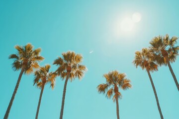 Obraz premium Several palm trees stand tall against a vibrant blue sky with a bright sun shining down on a warm summer day