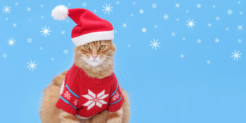 Ginger cat wearing Santa hat and sweater, sitting against a snowflake-filled background. Christmas...