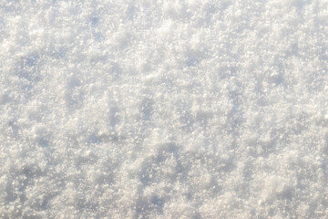 Obraz premium texture of soft fluffy snow in sunny weather
