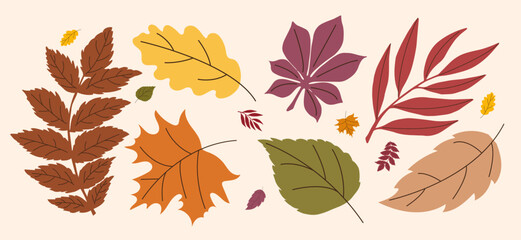 Autumn Leaves Collection from different trees, oak, maple, chestnut, birch, willow, rowan. Fall Seasonal hand drawn elements for pattern, poster, banner, sticker, Hello autumn card. Flat vector icons.