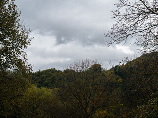 Misty fall Carpathian Mountains fog landscape. Village in Transcarpathia region Lush foliage Foggy spruce pine trees forest scenic view Ukraine, Europe. Autumn countryside Eco Local tourism