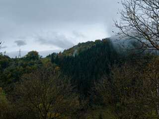 Misty fall Carpathian Mountains fog landscape. Village in Transcarpathia region Lush foliage Foggy spruce pine trees forest scenic view Ukraine, Europe. Autumn countryside Eco Local tourism