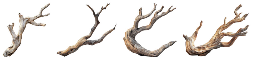 Twisted driftwood branch, centered on a transparent background.