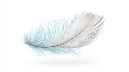  White feather on white background with reflective feather