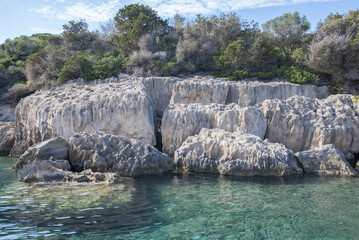 Naklejka premium Spiaggia fossile, arenarie pleistoceniche con resti di rizoconcrezioni