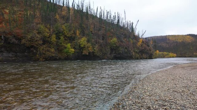 Jib Rise of Chena River in Autumn foliage of Alaska