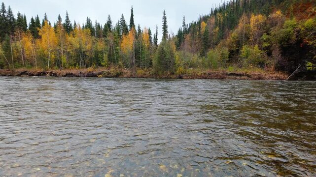 Pan of Chena River in Autumn foliage of Alaska