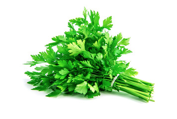 Fresh green parsley bunch on white background.