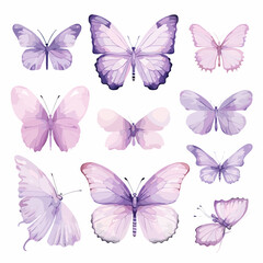 Butterflies set. Different types of butterflies. Vector illustration.