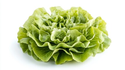 Obraz premium Isolated on white background green butter lettuce composition