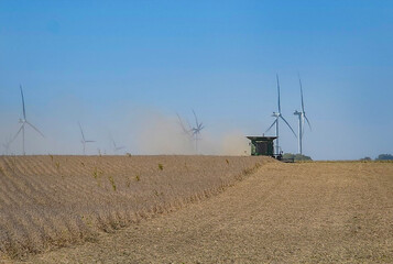 Fototapeta premium Drying Bean Fields in Iowa