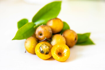 Obraz premium Ora-pro-nóbis Pereskia aculeata with ripe fruits and thorns on the surface