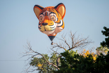 Hot Air Balloon Festival Albuquerque