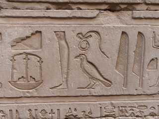 Egyptian hieroglyphic engravings on the stone walls of the temple of the God Horus in Edfu Egypt
