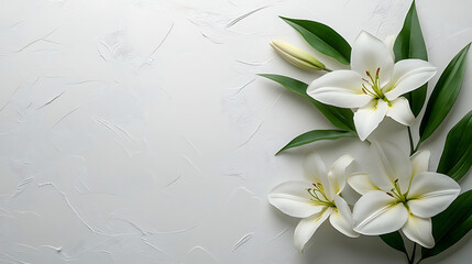 Elegant Funeral Program Template with White Background and Lily