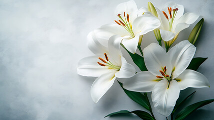 Elegant Funeral Program Template with White Background and Lily
