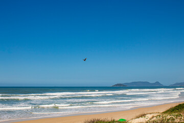 p&aacute;ssaro ao longe e a ilha do Campeche ao fundo visto da Praia da Joaquina Florian&oacute;polis Santa Catarina Brasil Florianopolis