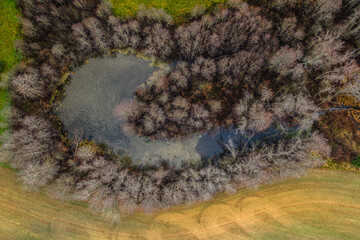 A drone shot capturing a stunning autumn forest scene. The trees are dressed in vibrant shades of red, orange, and yellow, highlighting the rich textures and colors of the season from above.