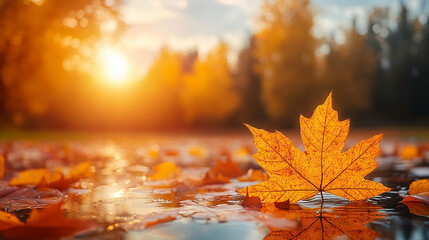 utumn leaves floating on the surface of a tranquil lake, reflecting the vibrant colors of fall. This image symbolizes change, the beauty of nature, and the cycle of life