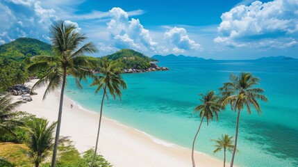 Fototapeta premium A panoramic shot of the white sand beaches of Koh Samui, with palm trees swaying in the breeze and crystal-clear water.