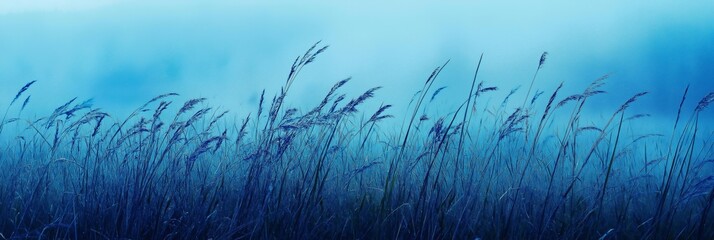 Fototapeta premium A field of grass with a blue sky in the background. The grass is wet and the sky is clear