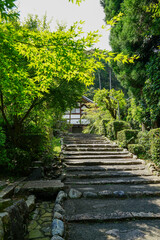 西賀茂正伝寺の参道の風景