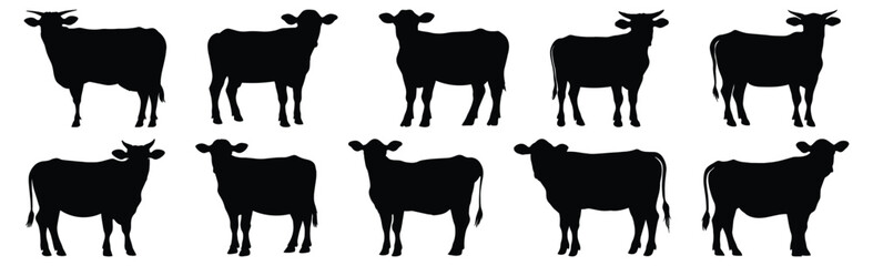 Cow silhouettes set, animal pack of vector silhouette design, isolated background.