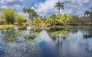 Obraz premium Criadero de Cocodrilos - a crocodile breeding facility in Cuba