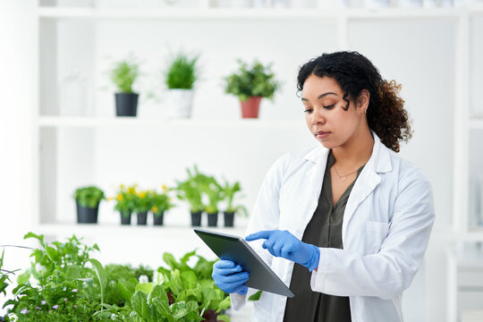 Agriculture, scientist and woman with tablet in laboratory for biochemistry, research and ecosystem. Science, innovation and person with tech by plants for ecology, development or climate change info
