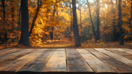 Fall background. Wooden table top in autumn forest