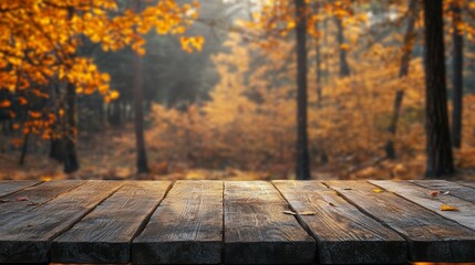 Fototapeta premium Fall background. Wooden table top in autumn forest