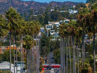 A vibrant street in Hollywood, Los Angeles, features tall palm trees and the Hollywood Hills. A red...