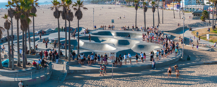 Venice Beach in Los Angeles features a busy skate park surrounded by palm trees. Skaters and onlookers enjoy the sunny day with the ocean in the distance.