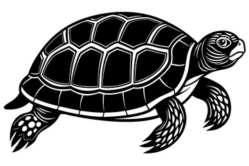  Cute Turtle silhouette minimalistic vector art illustration 