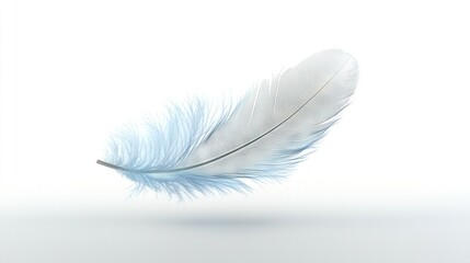 Obraz premium A white feather on a white background with a blurred image of a bird's tail