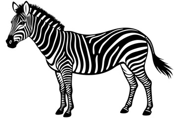  Cute Zebra silhouette minimalistic vector art illustration