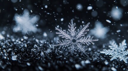 A close-up of snowflakes falling onto a dark surface, highlighting the intricate patterns and delicate shapes of each flake.