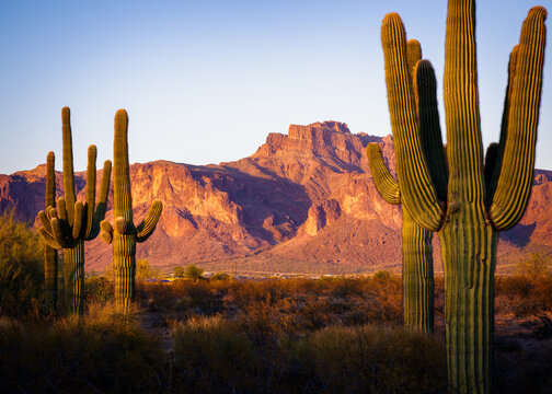 Cougar shadow in the Superstition Mountains, Apache Junction, Arizona.