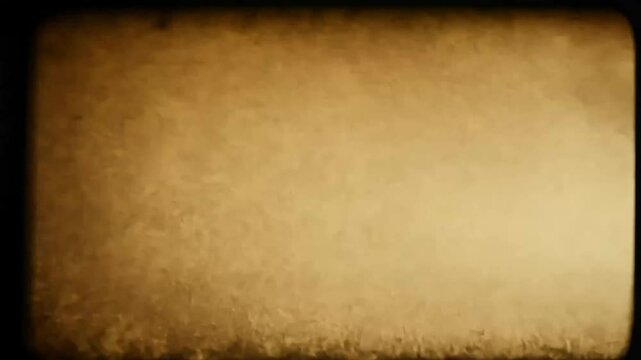 grainy 4K texture light leaks dust effects dynamic vintage template includes hair scratches film flickering perfect overlay screen mode ge create nostalgic noise leak effect