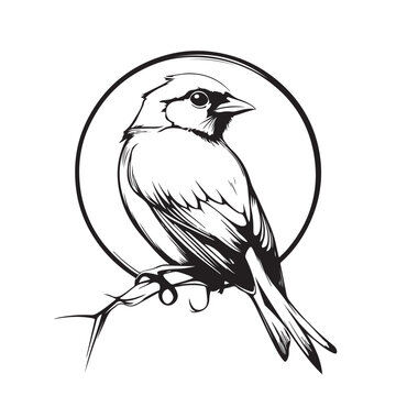 recommend clip art: Black and white vector illustration of a small bird sitting on a branch isolated on white background.