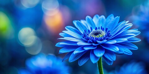 Obraz premium A vibrant blue flower blossoms against a backdrop of soft, blurred hues, showcasing the delicate details of its petals and the captivating beauty of nature.