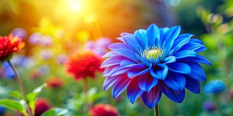 Obraz premium A Vivid Blue Flower Stands Out Against A Background Of Warm Sunlight And Blurry Blooms