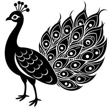 recommend clip art: Peacock vector silhouette 
