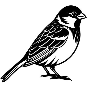 recommend clip art: Sparrow vector silhouette