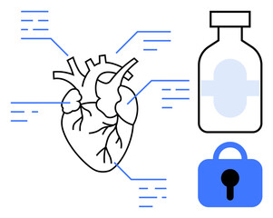 Detailed anatomical heart sketch with labeled parts. Adjacent bottle and lock icons suggest themes of health, medical treatment, and security. Ideal for education, healthcare, medical awareness