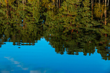 A serene reflection of a dense forest on the surface of a calm, blue lake. The water mirrors the...