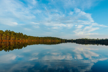 A tranquil lakeside view with tall golden grasses in the foreground and a clear reflection of trees and sky on the calm water. The blue sky and wispy clouds enhance the peaceful, natural scene.