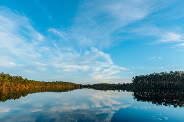 Fototapeta premium A tranquil lakeside view with tall golden grasses in the foreground and a clear reflection of trees and sky on the calm water. The blue sky and wispy clouds enhance the peaceful, natural scene.