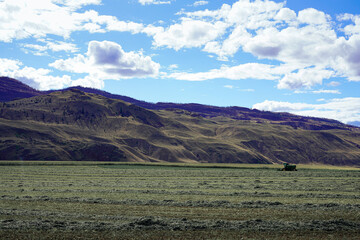 Fototapeta premium Desert Farming