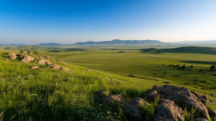 Fototapeta premium The landscape features a vibrant green hilltop adorned with wildflowers and rocky formations, beneath an expansive blue sky and distant mountains, inviting adventure and exploration